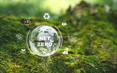 Real Tern’s Path to Carbon Neutrality: Smarter Heat Exchangers for a Sustainable Future